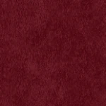 ALBA BALLET FLAT | PINOT SUEDE - Image 8