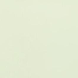 DEVON HIGH RISE BIKINI BOTTOM | PALE JADE WHITE - Image 6