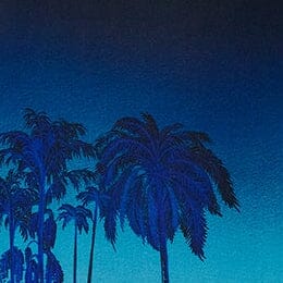 RAVEN DRESS | CALIFORNIA DREAMS - Image 8