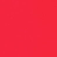 REINA TOP | RED ROSE - Image 5