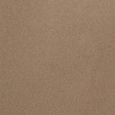 STROLL PANT | TRUFFLE - Image 8